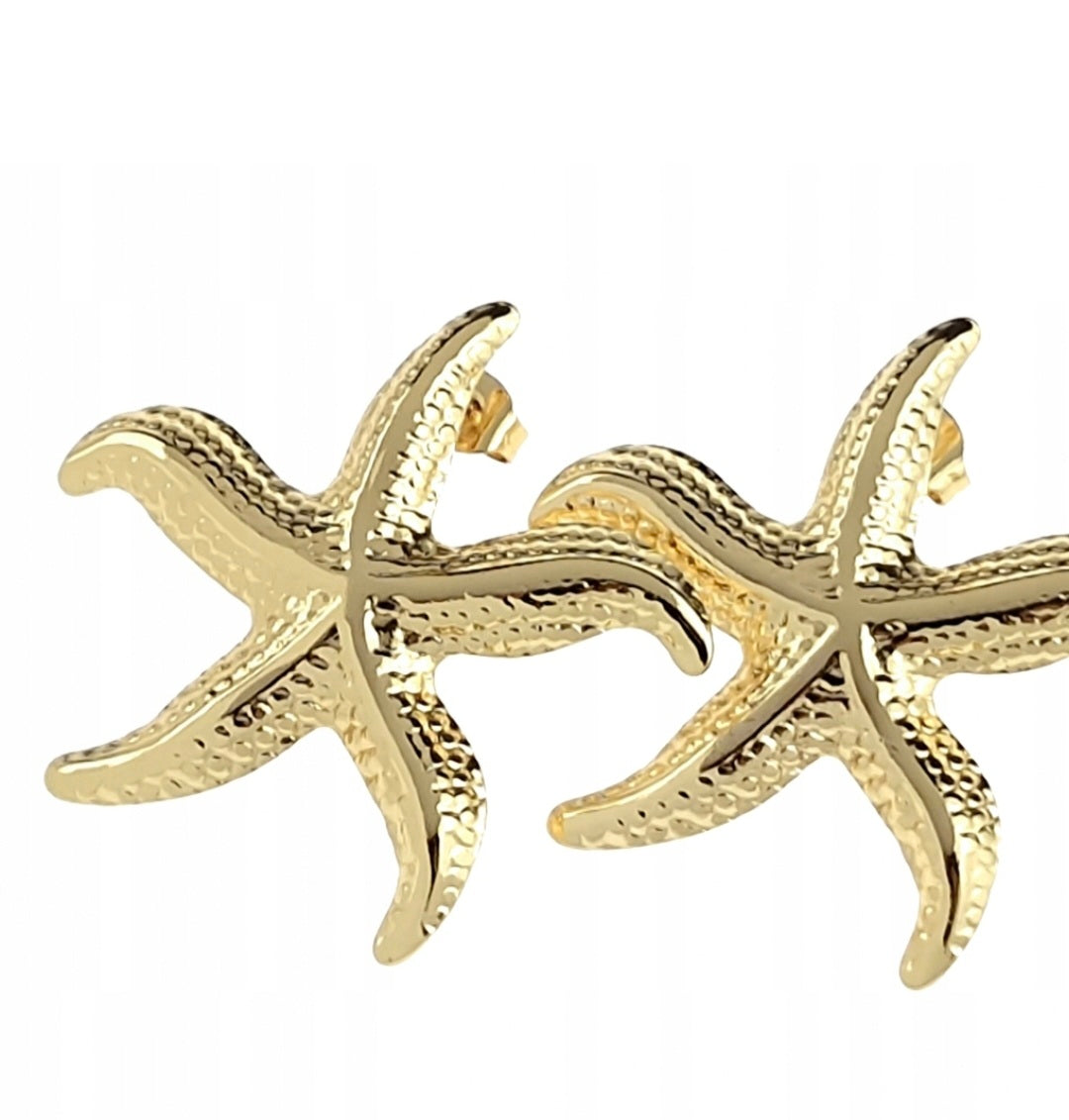 🩷😍Goldene Ohrringe aus Chirurgenstahl🌞Stern-Plugs