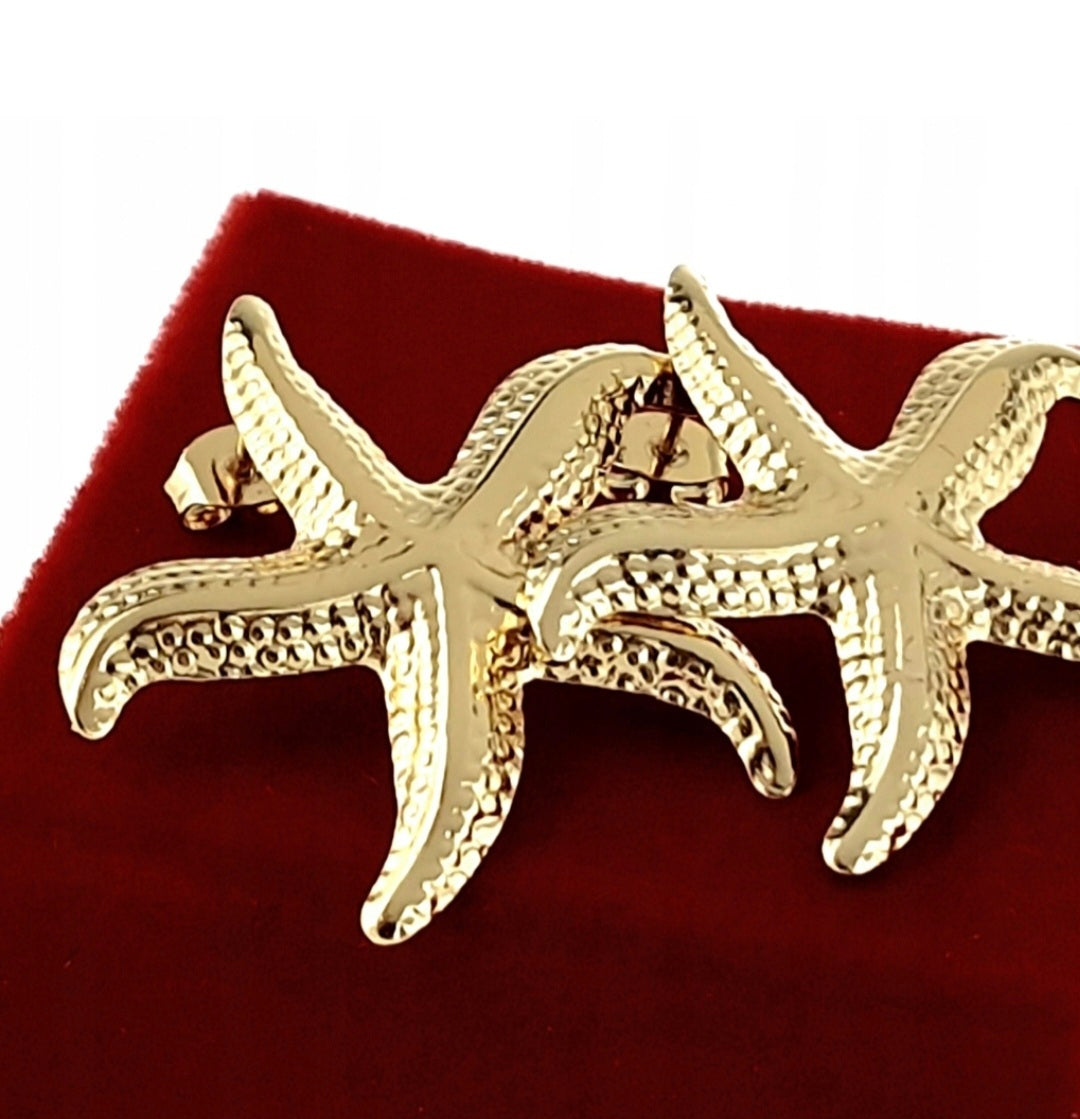 🩷😍Goldene Ohrringe aus Chirurgenstahl🌞Stern-Plugs 